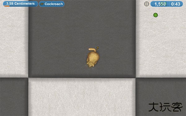 美味星球4最新版下载