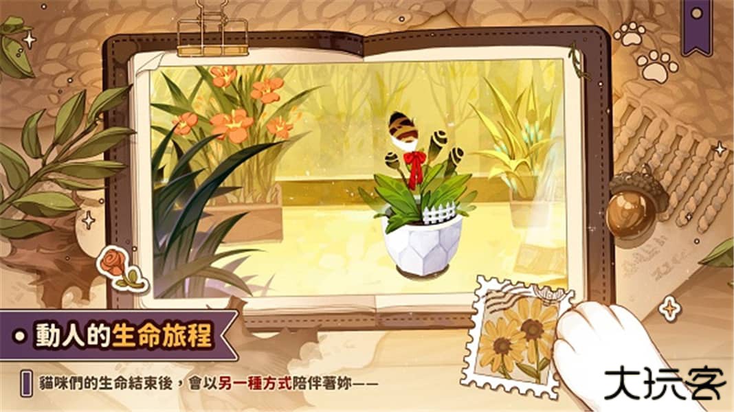 猫逝最新版下载