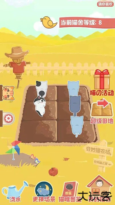 奇妙猫之家最新版下载