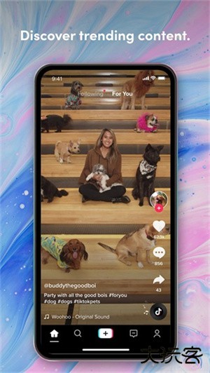 tiktok色板轻量版