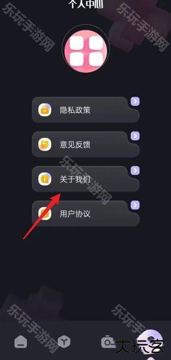 布偶相机