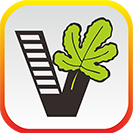 我要自学网手机版下载软件