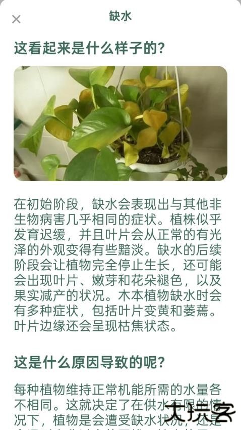 爱馨花园软件下载v1.0.0安卓版