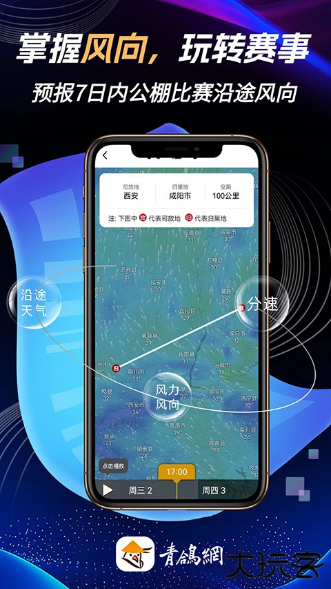 青鸽网官方正版 v4.1.1安卓版