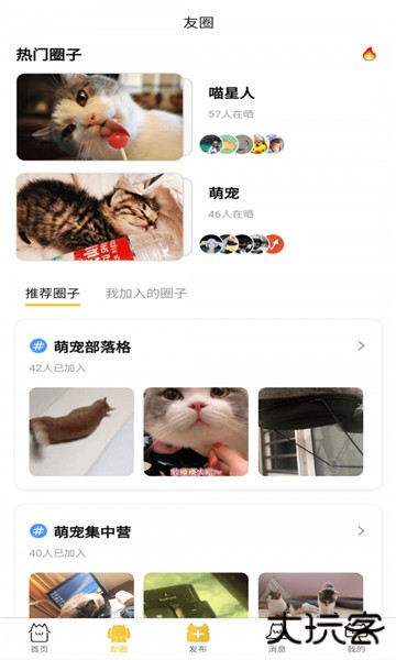友猫app