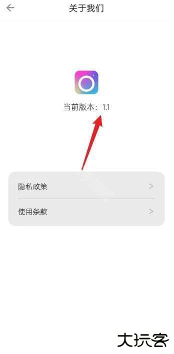 布偶相机