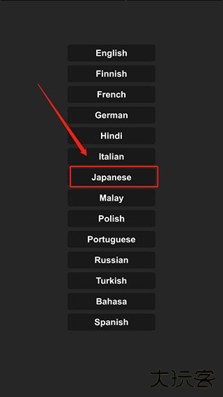 怎么设置中文截图3