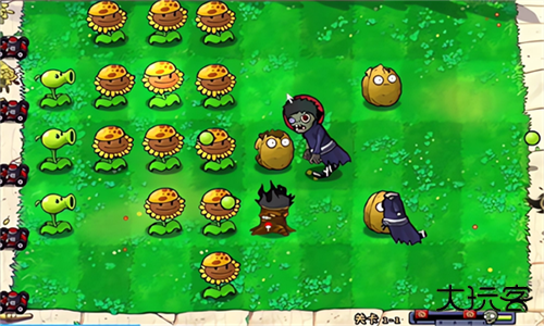 植物大战僵尸火影版手机版下载