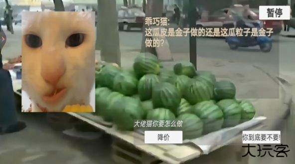 猫猫惊魂夜最新版下载