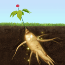 夺笋高手最新版下载