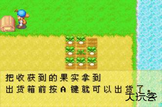 牧场物语矿石镇的伙伴们