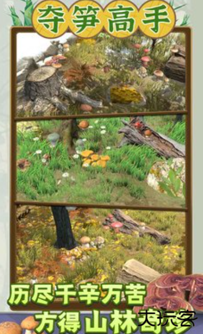 夺笋高手官方正版最新版下载