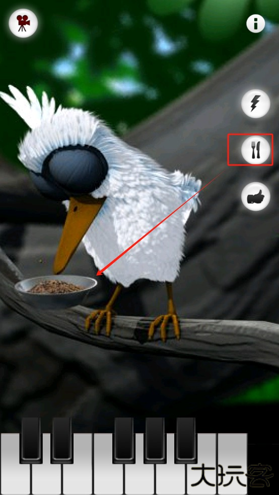 会说话的拉里鸟最新版