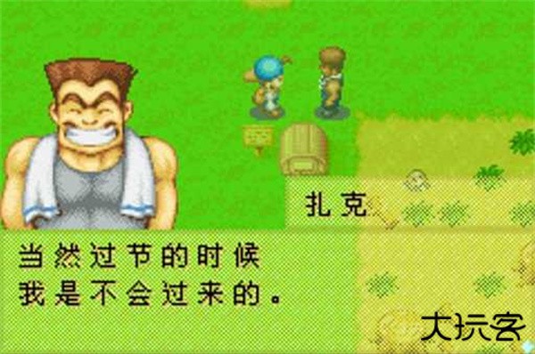 牧场物语矿石镇的伙伴们最新版下载