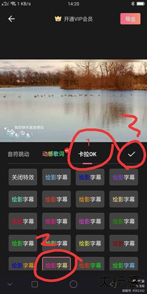 绘影大字版app