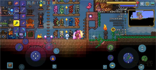 泰拉瑞亚联机版汉化版