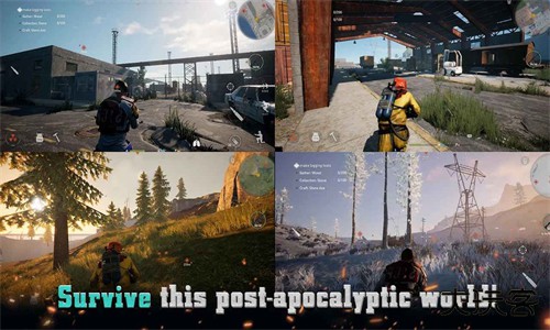 Projectz国际服下载