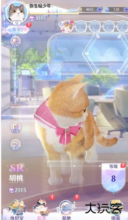 超喵星计划官方正版手游下载