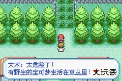 口袋妖怪火红版