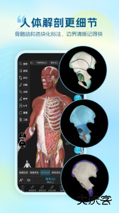 维萨里3D解剖教学app下载 v6.9.9安卓版