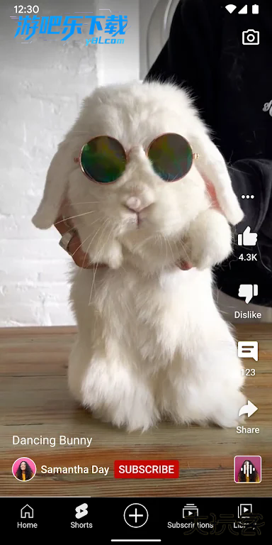 YouTube官方app正版下载