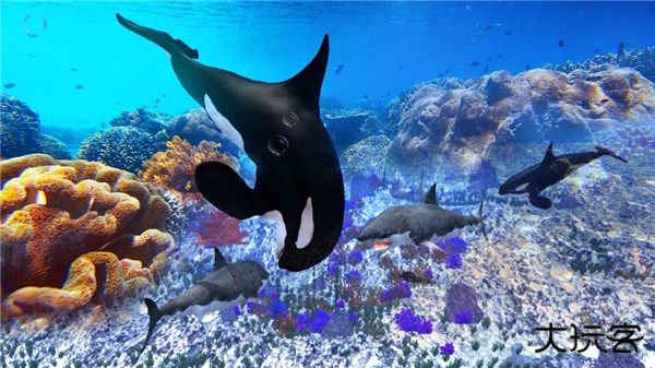 虎鲸模拟器最新版下载