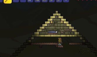 泰拉瑞亚1.4.4.9一只皮皮蛙汉化版