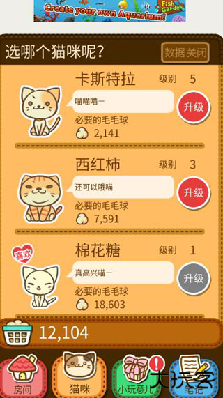 猫咪的毛