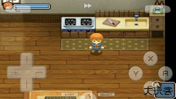 牧场物语双子村最新版下载