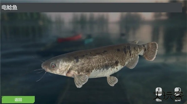 终极钓鱼模拟器无限金币版游戏攻略5