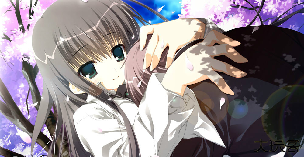 樱之诗最新版下载