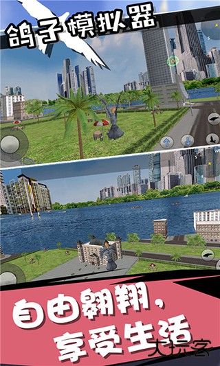 鸽子模拟器最新版下载