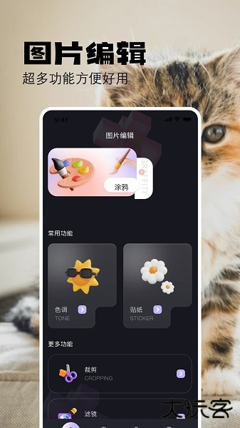 布偶相机免费下载