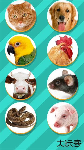 PetTranslator动物语言翻译器免费下载