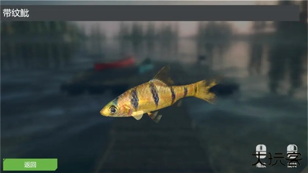 终极钓鱼模拟器无限金币版游戏攻略1