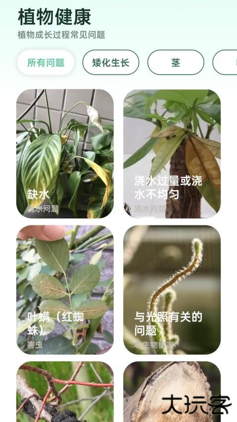 爱馨花园软件下载v1.0.0安卓版