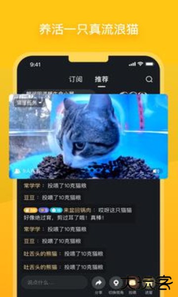 哈啰街猫官方版