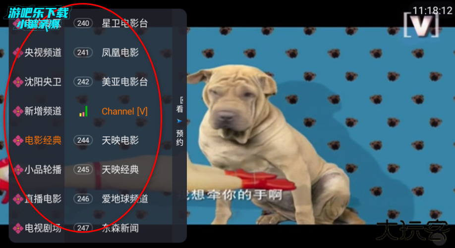 飞鱼电视最新版下载2026