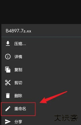 ZArchiver Pro中文版