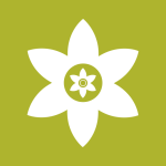 安装狮免费下载