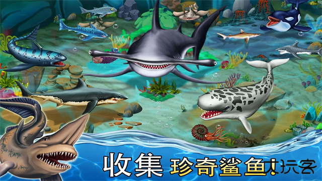 鲨鱼世界最新版下载