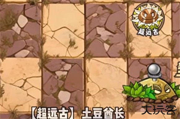植物大战僵尸神奇植物版