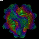 volumeshader安卓版