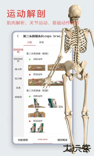 3dbody解剖安卓版