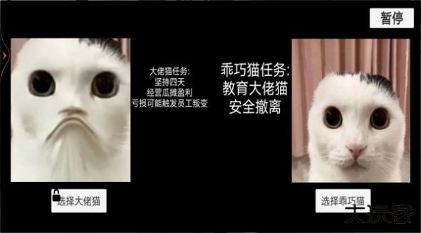 猫猫惊魂夜最新版下载