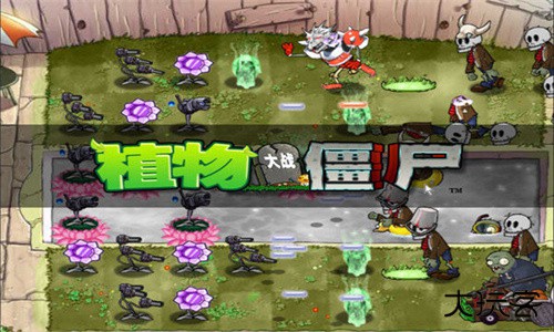 植物大战僵尸魔幻版