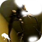 暗房最新版下载