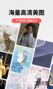 堆糖官方版下载 v8.69.1安卓版