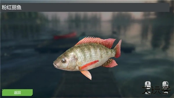 终极钓鱼模拟器无限金币版游戏攻略10