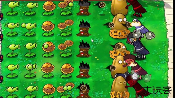 PVZ植物大战僵尸火影版